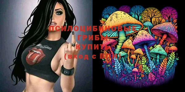 apvp Зеленодольск