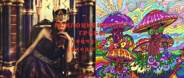 apvp Зеленодольск