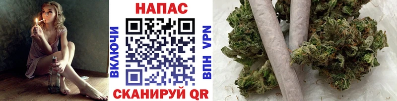 закладка  Неман  Канабис SATIVA & INDICA 